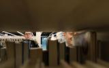 IMG_5369-Copy