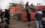 Zbiórka-złomu-dla-Krystiana-zdjęcia-Marta-Rytych-42