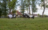 nordic-gorzkowice-39