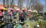 14.04.2019-28