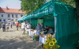 rolsznasa-2019-51