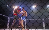 virtuoz-2019-273