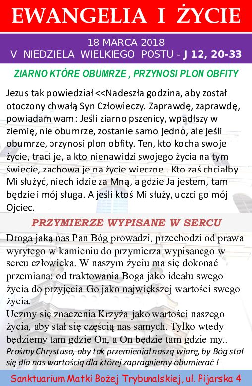 Photo of EWANGELIA I ŻYCIE