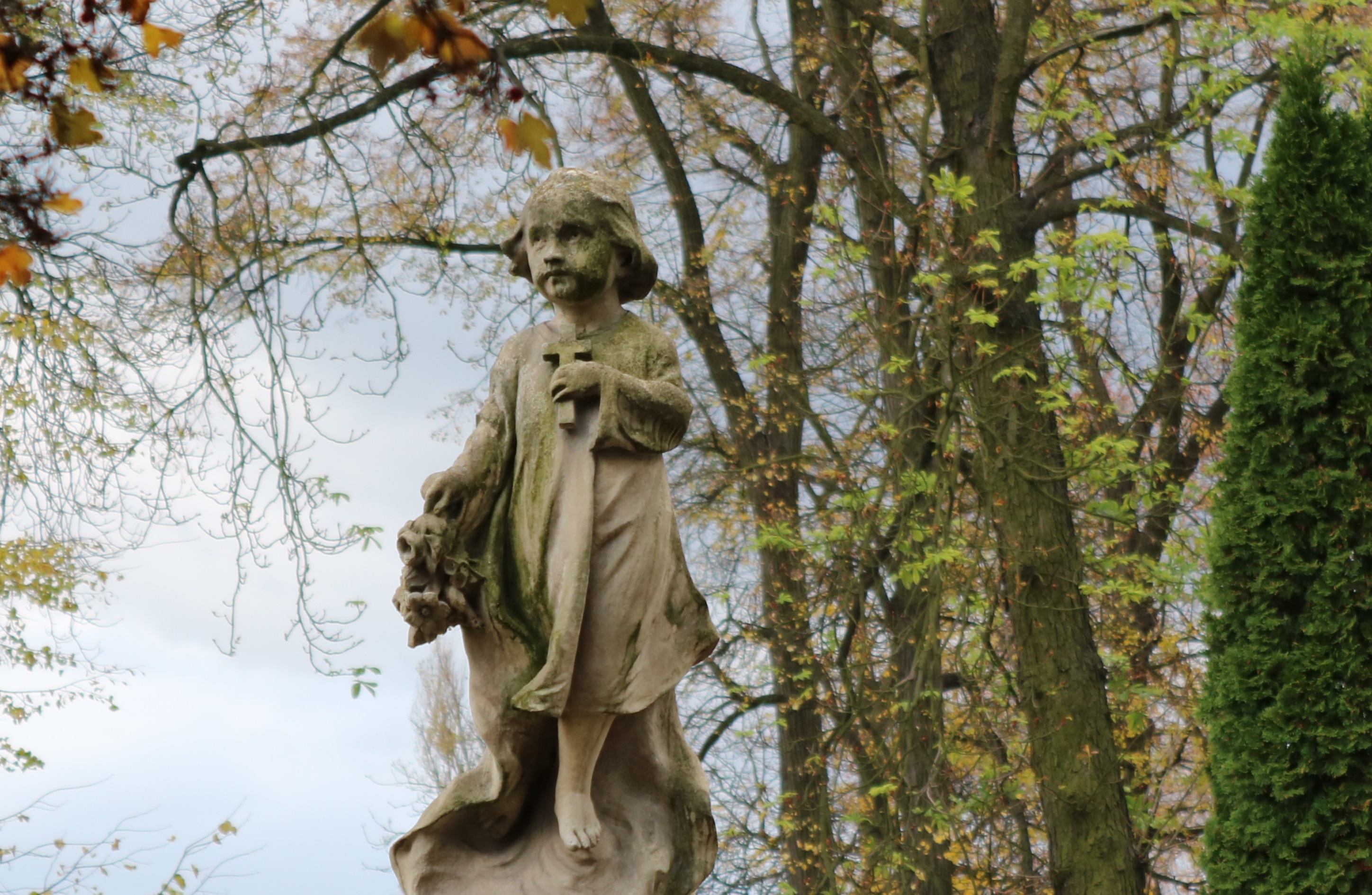 Photo of Odeszli w 2018 roku…