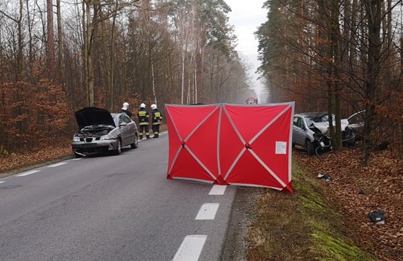 Photo of Śmiertelny wypadek pod Piotrkowem. Na drogę wyszedł jeleń – AKTUALIZACJA