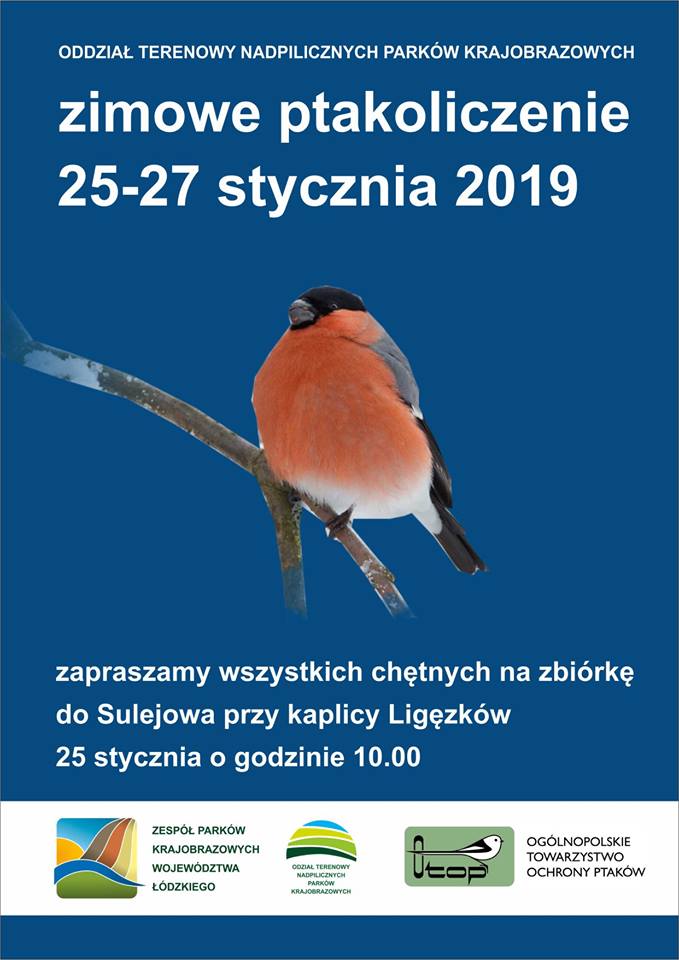 Photo of Ptakoliczenie 2019