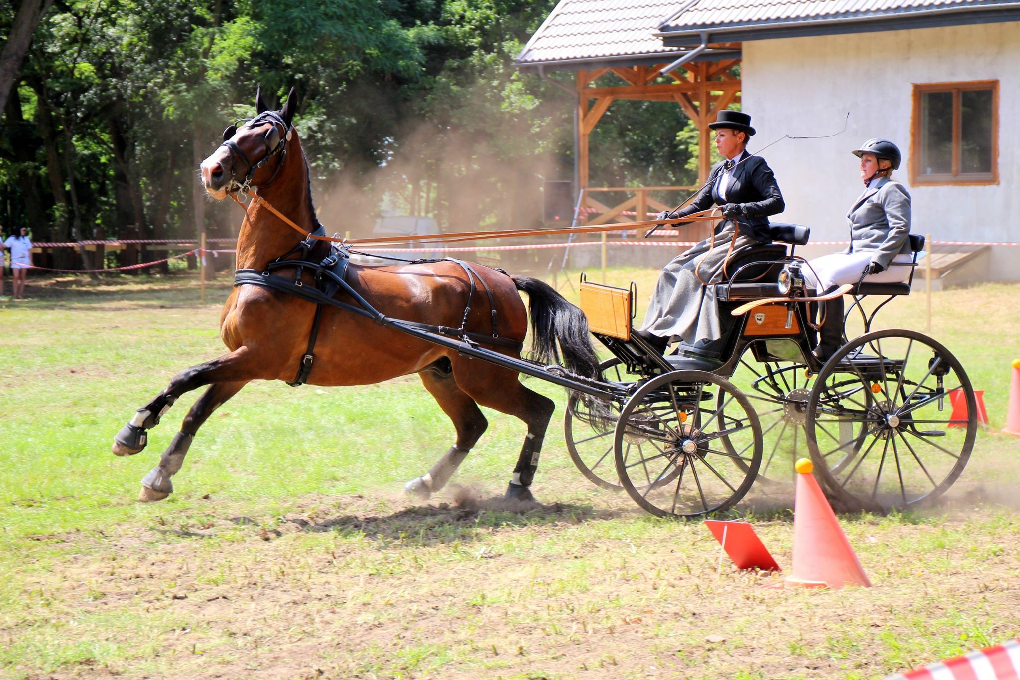 Photo of Zawody jeździeckie w Jeżowie