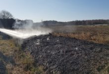 Photo of Płoną pierwsze trawy w tym sezonie. Strażacy ostrzegają: to nie sprzątanie, to igranie z ogniem