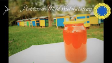 Photo of Miód Wielokwiatowy – produktem regionalnym Ziemi Piotrkowskiej