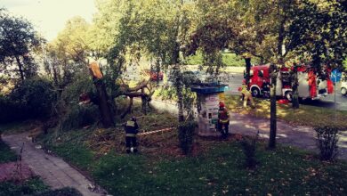 Photo of Interwencja strażaków na Kostromskiej i Spacerowej