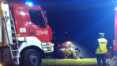 Photo of Seat wpadł do stawu