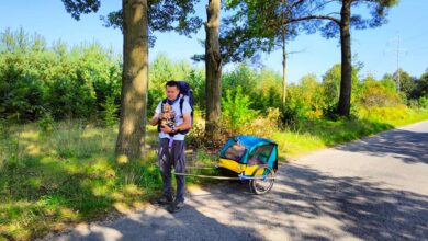 Photo of Z kotem przez całą Polskę, aby pomóc chorej Kindze