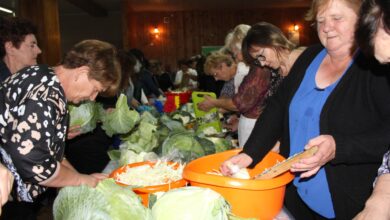 Photo of Kamocin: Tradycyjne kiszenia kapusty