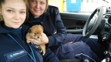 Photo of Policjantki zaopiekowały się szczeniaczkiem znalezionym na A1
