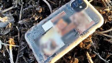 Photo of 28-latek napadł na 14-letnią dziewczynkę, wykręcił jej rękę i ukradł telefon