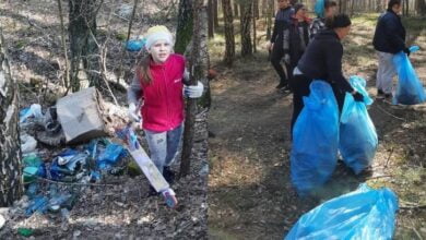 Photo of W Grabostowie posprzątali las