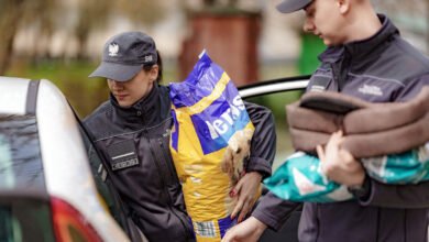 Photo of Funkcjonariusze AŚ przekazali karmę dla zwierząt z Ukrainy