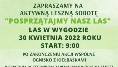 Photo of Będą sprzątać las na Wygodzie