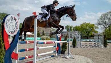 Photo of Zawody jeździeckie w Bogusławicach