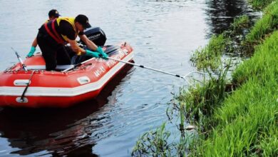 Photo of Co zabiło ryby w regionie? Znamy wyniki badań wody