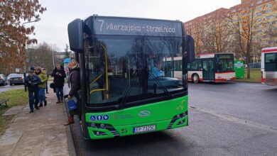 Photo of Na piotrkowskie ulice wyjechało sześć nowych autobusów hybrydowych – ZDJĘCIA, FILM