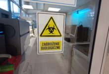 Photo of Instytut Badawczy w Puławach potwierdza – 6 martwych dzików miało ASF