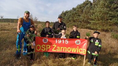Photo of Młodzi druhowie posadzili las