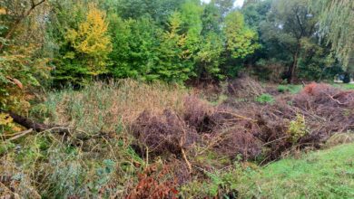 Photo of Niebawem rusza budowa parku sensorycznego