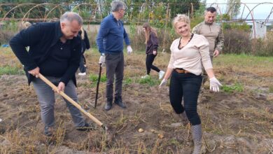 Photo of Wykopki w szkole w Bujnach