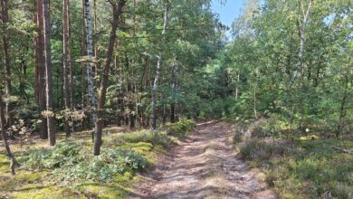 Photo of Tablica upamiętniająca folwark Kazimierzów
