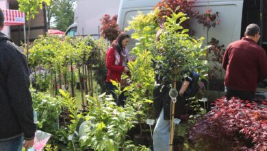 Photo of Zamek w Bykach zakwitnie na wiosnę. Nadchodzą XIX Piotrkowskie Targi Ogrodnicze!