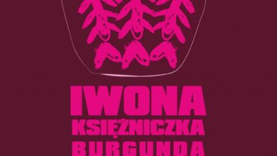 Photo of Kolejna premiera Teatru Forma!