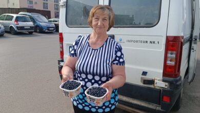 Photo of Jagody „na wagę złota”. Susza winduje ceny na piotrkowskim targowisku