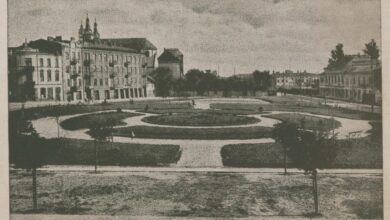 Photo of Agricola – piotrkowski projekt Naczelnego Ogrodnika m.st. Warszawy