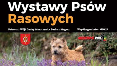 Photo of Moszczenica zaprasza na Wystawy Psów Rasowych