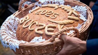 Photo of Barwnie, smacznie i z przytupem. Tak Łódzkie świętowało zakończenie żniw