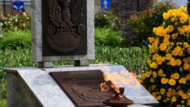 Photo of Święto Wojska Polskiego w Piotrkowie – festyn i wyjątkowa wystawa