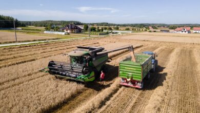 Photo of Żniwa w Łódzkiem