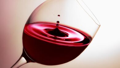 Photo of Niebawem rusza XXIV Trybunalskie Forum Trzeźwościowe oraz Pałacykowa Akademia Wolontariatu