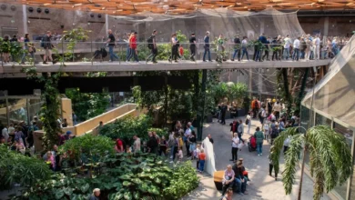 Photo of Orientarium i Fala biją rekordy frekwencji. Hanna Zdanowska: To ogromny powód do dumy…