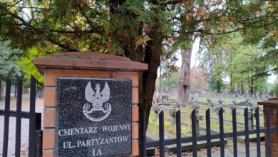 Photo of Bo wolność krzyżami się mierzy… Historia piotrkowskiego cmentarza wojennego