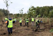 Photo of Ponad 5 milionów złotych na „zielone” zmiany w Piotrkowie