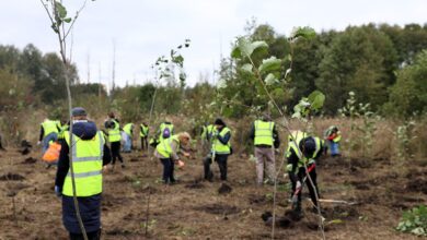 Photo of Ponad 5 milionów złotych na „zielone” zmiany w Piotrkowie