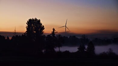 Photo of Poznaliśmy laureatów konkursu fotograficznego „Ziemia Piotrkowska – Moja Mała Ojczyzna”