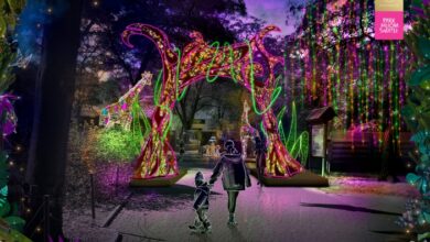 Photo of MAGICZNE ZWIERZĘTA powracają w nowej odsłonie do Parku Miliona Świateł – niezapomniana przygoda w ORIENTARIUM ZOO Łódź!