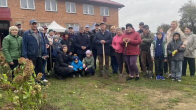 Photo of Posadzili drzewa i krzewy. Młynary będą zielone