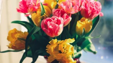 Photo of Nauczyciele z gminy Moszczenica i Sulejów także z nagrodami