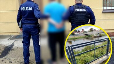 Photo of Dewastował barierki na wale Pilicy w Sulejowie