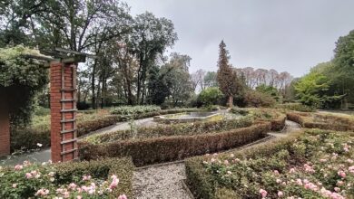 Photo of Piotrkowski ogród botaniczny, czyli zielona enklawa z amerykańskiej pożyczki