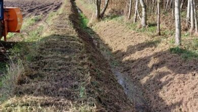 Photo of Gminna Spółka Wodna w Gorzkowicach dba o rowy melioracyjne